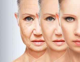 Factors that affect the natural and premature aging